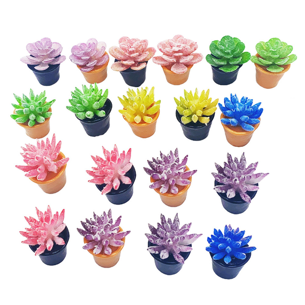 24 macetas pequeñas para sucul - Desk Setup With Plants reseña y precio